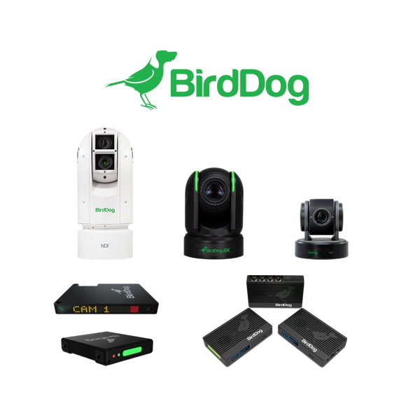 BirdDog_news